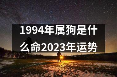 1994年属狗是什么命2025年运势