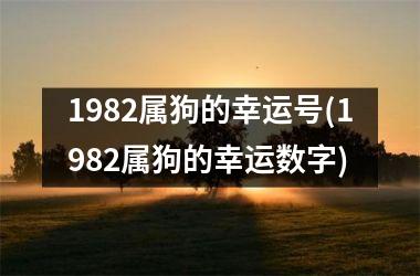 1982属狗的幸运号(1982属狗的幸运数字)