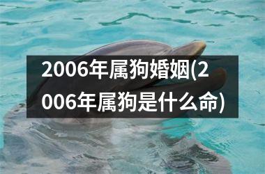 <h3>2006年属狗婚姻(2006年属狗是什么命)