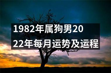 1982年属狗男2025年每月运势及运程