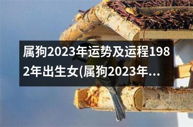 属狗2023年运势及运程1982年出生女(属狗2023年运势及运程1982年出生)