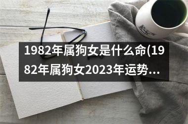 1982年属狗女是什么命(1982年属狗女2025年运势及运程每月运程)