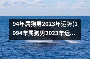 94年属狗男2025年运势(1994年属狗男2025年运势)