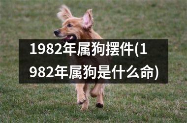 1982年属狗摆件(1982年属狗是什么命)