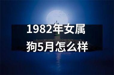 1982年女属狗5月怎么样