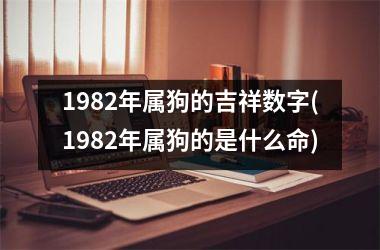 1982年属狗的吉祥数字(1982年属狗的是什么命)