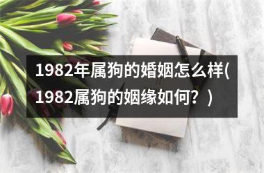 <h3>1982年属狗的婚姻怎么样(1982属狗的姻缘如何？)