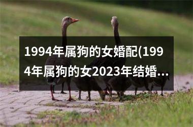 1994年属狗的女婚配(1994年属狗的女2025年结婚大利月)