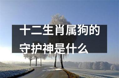 <h3>十二生肖属狗的守护神是什么