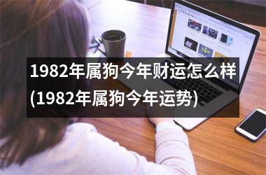 1982年属狗今年财运怎么样(1982年属狗今年运势)