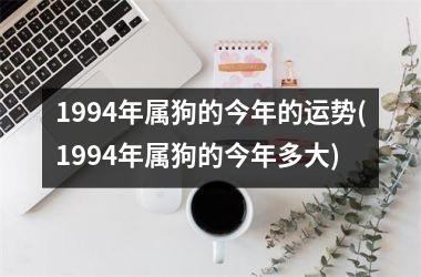 1994年属狗的今年的运势(1994年属狗的今年多大)