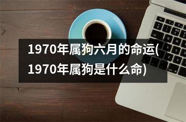 1970年属狗六月的命运(1970年属狗是什么命)