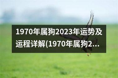 1970年属狗2025年运势及运程详解(1970年属狗2025年运势及运程男性)