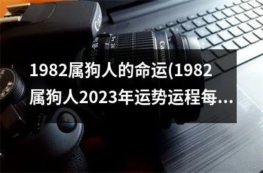 1982属狗人的命运(1982属狗人2025年运势运程每月运程)