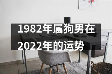 1982年属狗男在2025年的运势