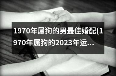 1970年属狗的男最佳婚配(1970年属狗的2025年运势和财运怎么样)