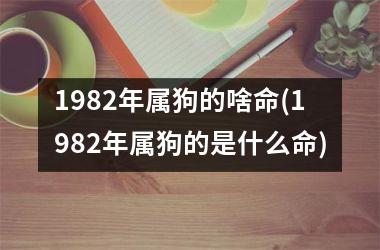 1982年属狗的啥命(1982年属狗的是什么命)