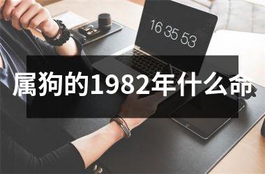 属狗的1982年什么命