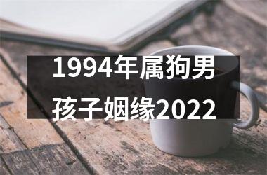 1994年属狗男孩子姻缘2025