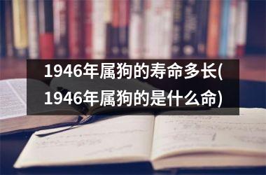 1946年属狗的寿命多长(1946年属狗的是什么命)