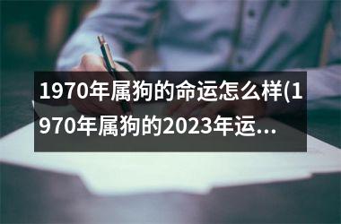 1970年属狗的命运怎么样(1970年属狗的2025年运势和财运怎么样)