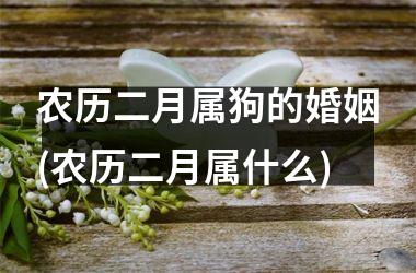 <h3>农历二月属狗的婚姻(农历二月属什么)