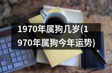 1970年属狗几岁(1970年属狗今年运势)