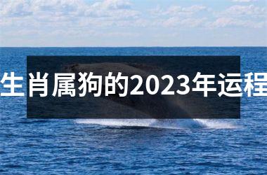 生肖属狗的2025年运程