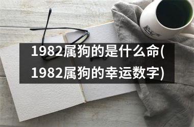 <h3>1982属狗的是什么命(1982属狗的幸运数字)