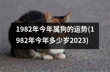 <h3>1982年今年属狗的运势(1982年今年多少岁2025)