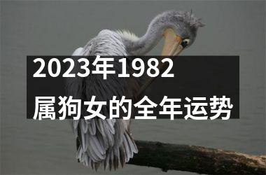 2025年1982属狗女的全年运势