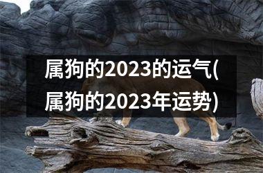 属狗的2025的运气(属狗的2025年运势)