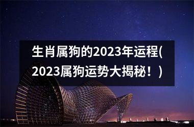 生肖属狗的2025年运程(2025属狗运势大揭秘！)