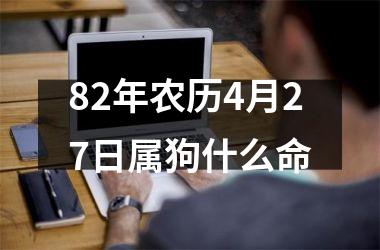 82年农历4月27日属狗什么命