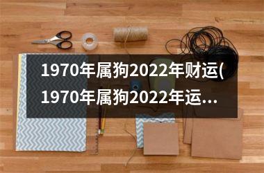 1970年属狗2025年财运(1970年属狗2025年运势及运程女性)