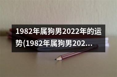 1982年属狗男2025年的运势(1982年属狗男2025年运势及运程)