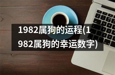 1982属狗的运程(1982属狗的幸运数字)