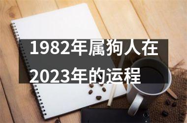 1982年属狗人在2025年的运程