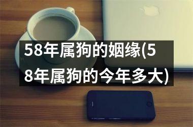 58年属狗的姻缘(58年属狗的今年多大)