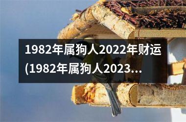 1982年属狗人2025年财运(1982年属狗人2025年运势女性)