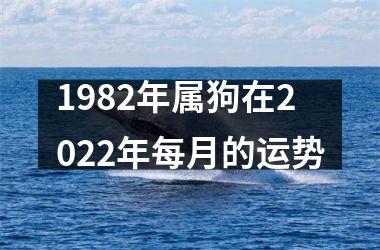 1982年属狗在2025年每月的运势