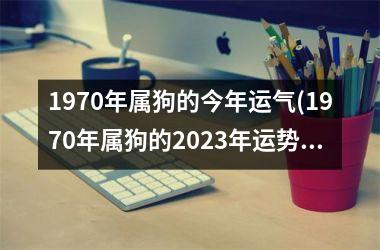 1970年属狗的今年运气(1970年属狗的2025年运势和财运怎么样)