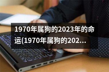 1970年属狗的2025年的命运(1970年属狗的2025年运势和财运怎么样)