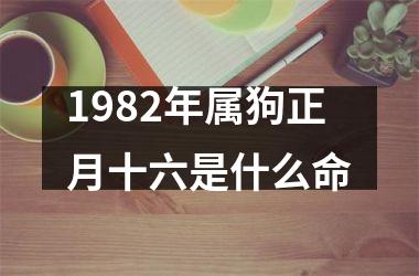 1982年属狗正月十六是什么命