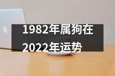 1982年属狗在2025年运势