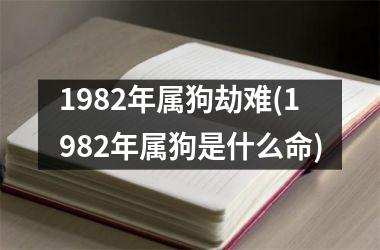 1982年属狗劫难(1982年属狗是什么命)