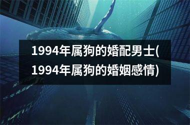 1994年属狗的婚配男士(1994年属狗的婚姻感情)