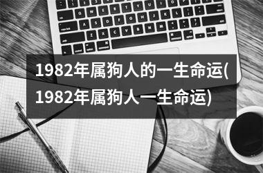 1982年属狗人的一生命运(1982年属狗人一生命运)