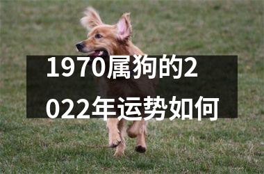 1970属狗的2025年运势如何