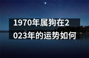 1970年属狗在2025年的运势如何